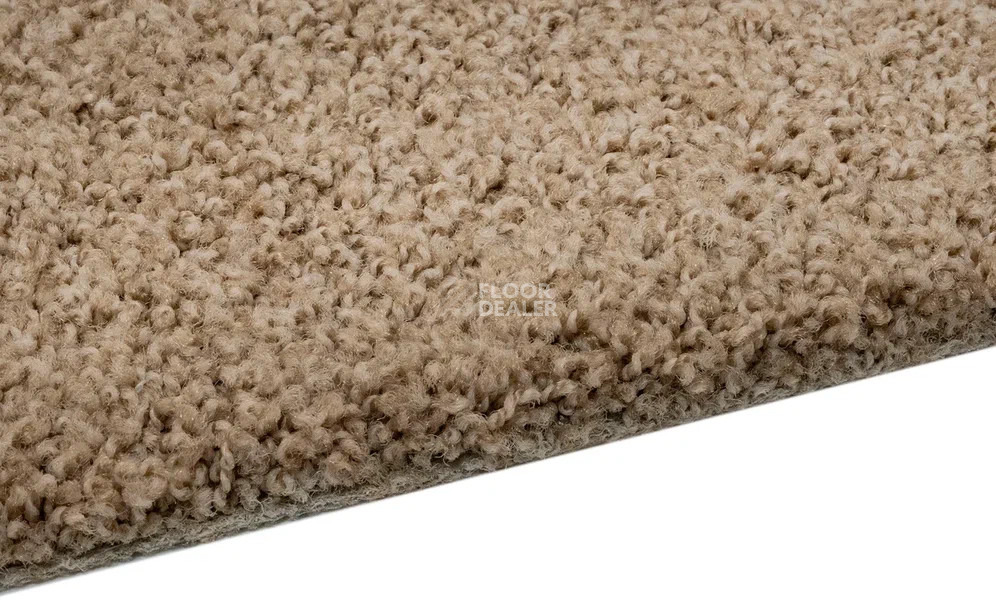Vorwerk Exclusive1009/Elara 8g82 фото 4 | FLOORDEALER
